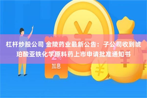 杠杆炒股公司 金陵药业最新公告：子公司收到琥珀酸亚铁化学原料药上市申请批准通知书
