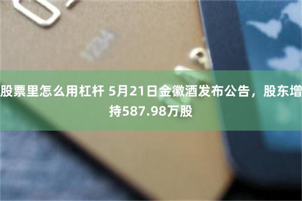 股票里怎么用杠杆 5月21日金徽酒发布公告，股东增持587.98万股