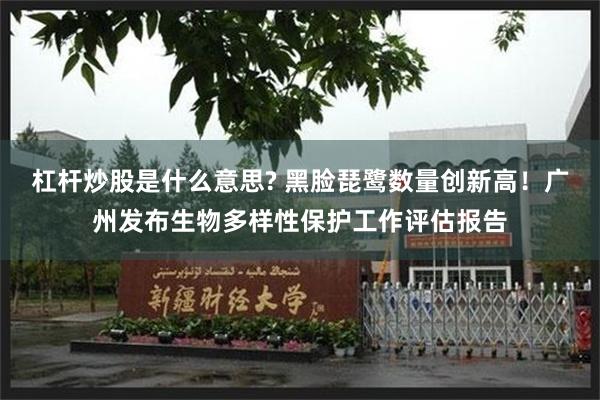 杠杆炒股是什么意思? 黑脸琵鹭数量创新高！广州发布生物多样性保护工作评估报告