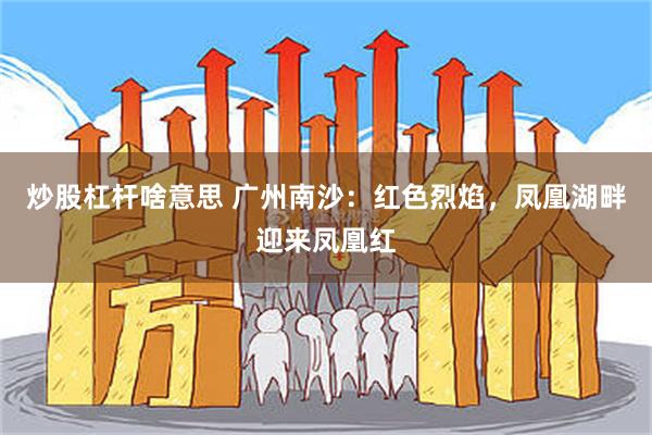炒股杠杆啥意思 广州南沙：红色烈焰，凤凰湖畔迎来凤凰红