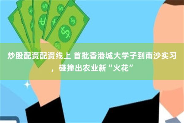 炒股配资配资线上 首批香港城大学子到南沙实习，碰撞出农业新“火花”