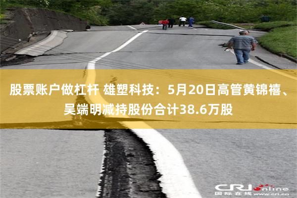 股票账户做杠杆 雄塑科技：5月20日高管黄锦禧、吴端明减持股份合计38.6万股