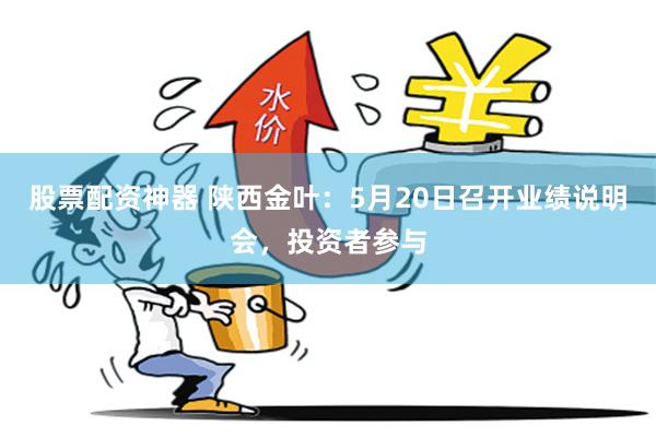 股票配资神器 陕西金叶：5月20日召开业绩说明会，投资者参与
