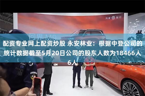 配资专业网上配资炒股 永安林业：根据中登公司的统计数据截至5月20日公司的股东人数为18466人