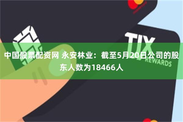 中国股票配资网 永安林业：截至5月20日公司的股东人数为18466人