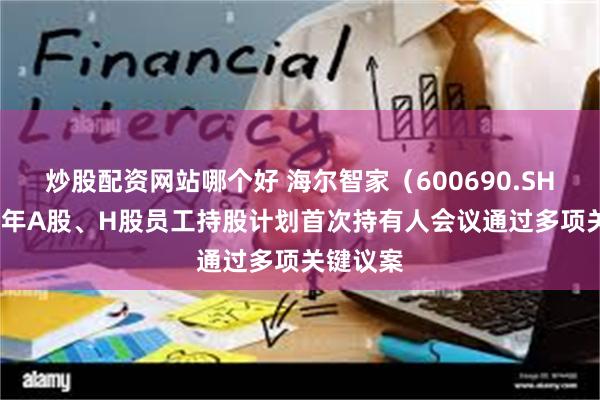 炒股配资网站哪个好 海尔智家（600690.SH）2025年A股、H股员工持股计划首次持有人会议通过多项关键议案