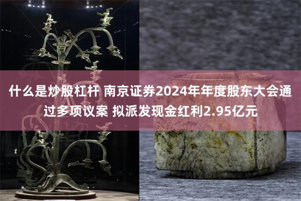 什么是炒股杠杆 南京证券2024年年度股东大会通过多项议案 拟派发现金红利2.95亿元