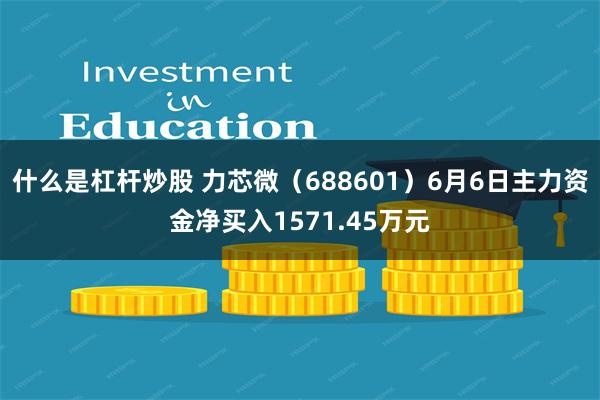 什么是杠杆炒股 力芯微（688601）6月6日主力资金净买入1571.45万元