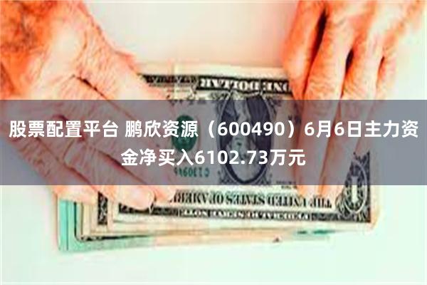 股票配置平台 鹏欣资源（600490）6月6日主力资金净买入6102.73万元
