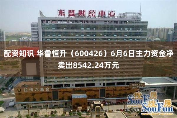 配资知识 华鲁恒升（600426）6月6日主力资金净卖出8542.24万元