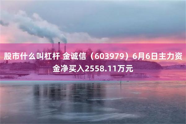 股市什么叫杠杆 金诚信（603979）6月6日主力资金净买入2558.11万元