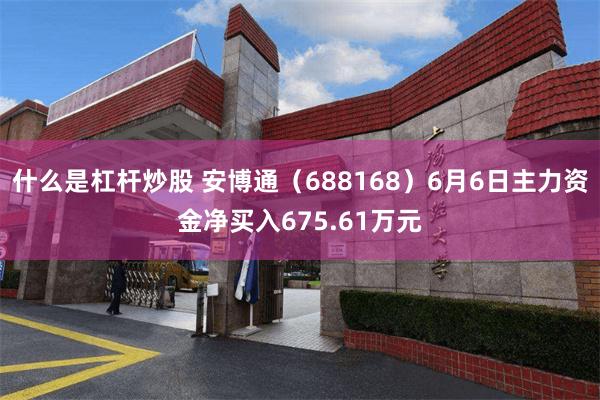 什么是杠杆炒股 安博通（688168）6月6日主力资金净买入675.61万元