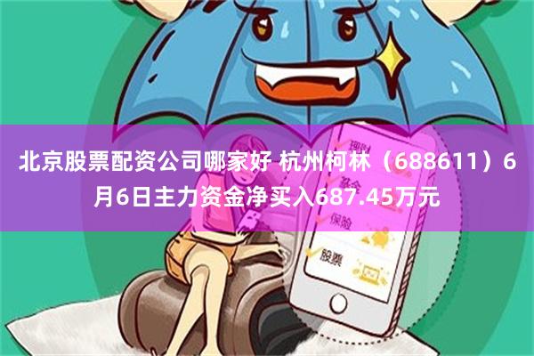 北京股票配资公司哪家好 杭州柯林（688611）6月6日主力资金净买入687.45万元
