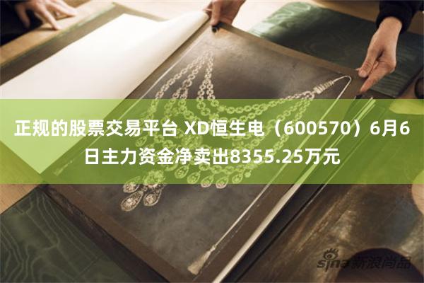 正规的股票交易平台 XD恒生电（600570）6月6日主力资金净卖出8355.25万元