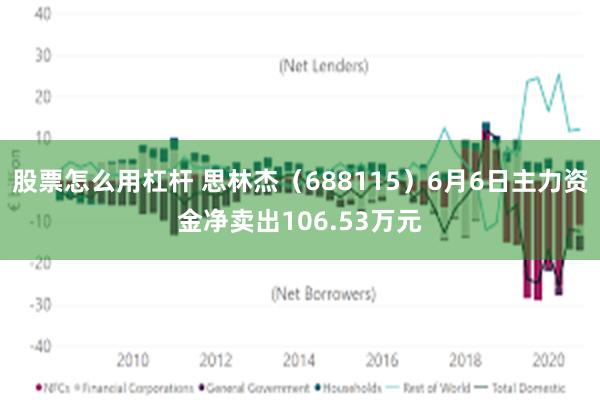 股票怎么用杠杆 思林杰（688115）6月6日主力资金净卖出106.53万元