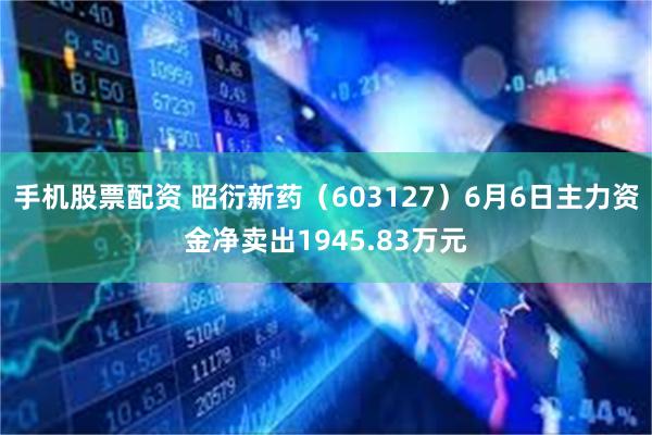 手机股票配资 昭衍新药（603127）6月6日主力资金净卖出1945.83万元