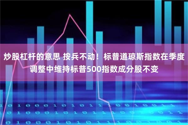 炒股杠杆的意思 按兵不动！标普道琼斯指数在季度调整中维持标普500指数成分股不变