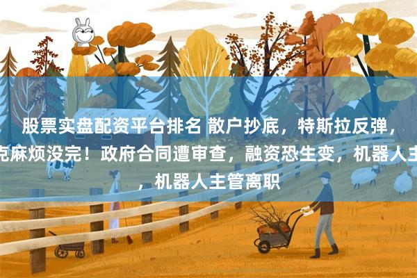 股票实盘配资平台排名 散户抄底，特斯拉反弹，但马斯克麻烦没完！政府合同遭审查，融资恐生变，机器人主管离职