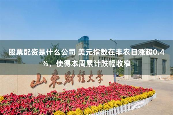 股票配资是什么公司 美元指数在非农日涨超0.4%，使得本周累计跌幅收窄