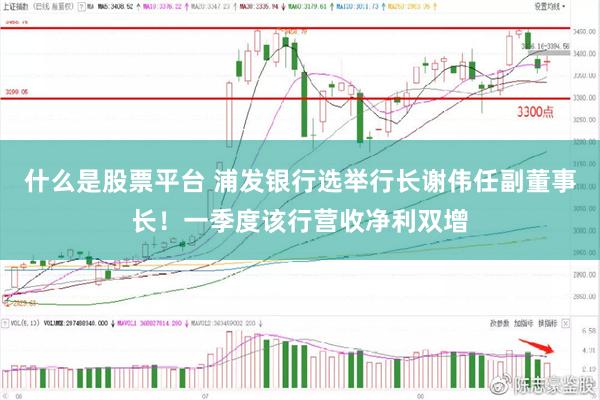 什么是股票平台 浦发银行选举行长谢伟任副董事长！一季度该行营收净利双增