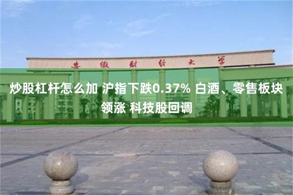 炒股杠杆怎么加 沪指下跌0.37% 白酒、零售板块领涨 科技股回调