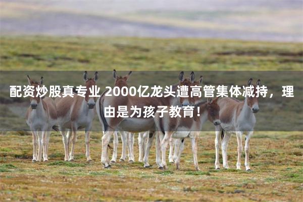 配资炒股真专业 2000亿龙头遭高管集体减持，理由是为孩子教育！