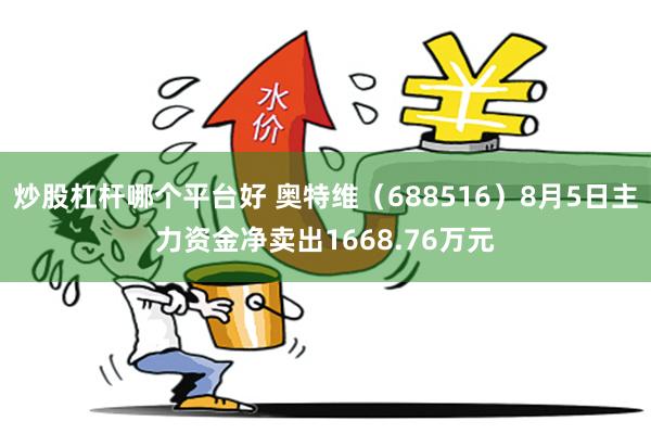 炒股杠杆哪个平台好 奥特维（688516）8月5日主力资金净卖出1668.76万元