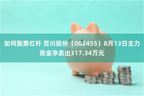 如何股票杠杆 百川股份（002455）8月13日主力资金净卖出317.34万元