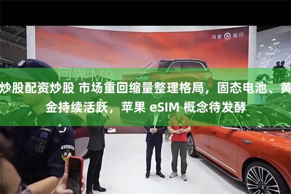 炒股配资炒股 市场重回缩量整理格局，固态电池、黄金持续活跃，苹果 eSIM 概念待发酵