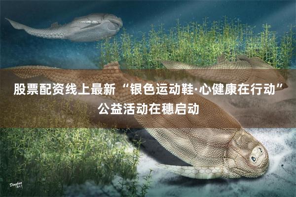 股票配资线上最新 “银色运动鞋·心健康在行动”公益活动在穗启动