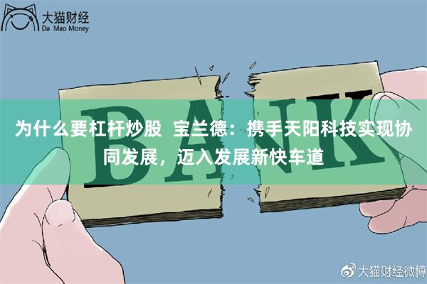 为什么要杠杆炒股  宝兰德：携手天阳科技实现协同发展，迈入发展新快车道