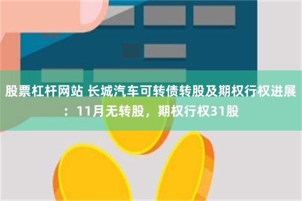股票杠杆网站 长城汽车可转债转股及期权行权进展：11月无转股，期权行权31股