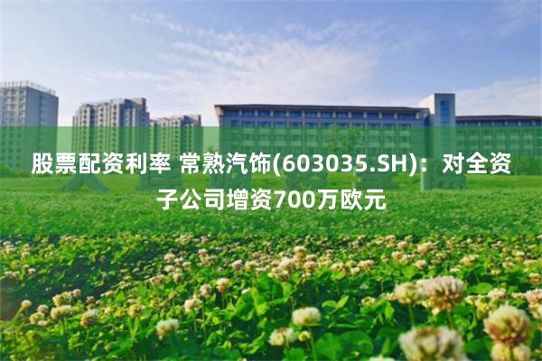 股票配资利率 常熟汽饰(603035.SH)：对全资子公司增资700万欧元