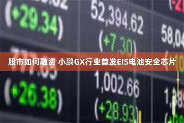 股市如何融资 小鹏GX行业首发EIS电池安全芯片