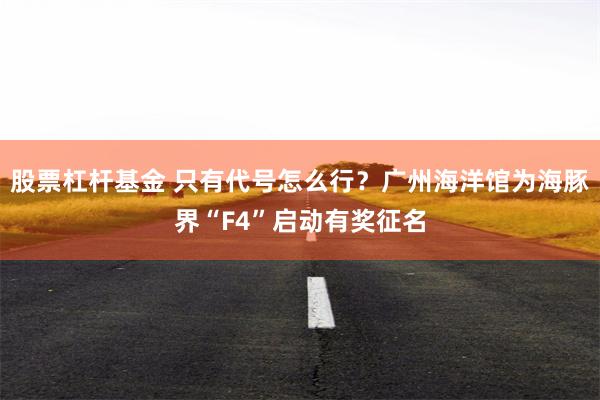 股票杠杆基金 只有代号怎么行？广州海洋馆为海豚界“F4”启动有奖征名