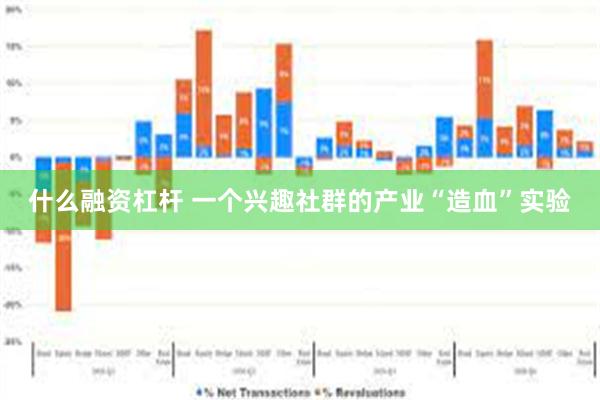 什么融资杠杆 一个兴趣社群的产业“造血”实验
