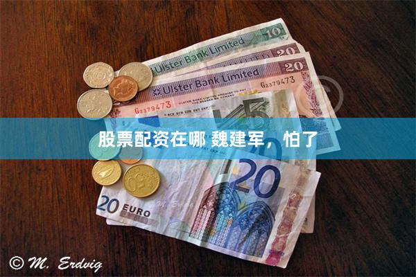 股票配资在哪 魏建军，怕了