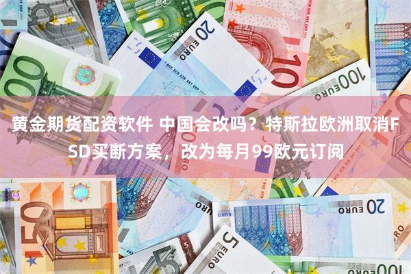 黄金期货配资软件 中国会改吗？特斯拉欧洲取消FSD买断方案，改为每月99欧元订阅
