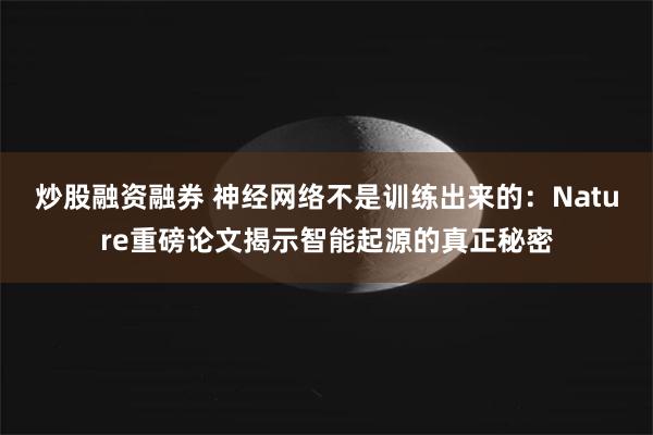 炒股融资融券 神经网络不是训练出来的：Nature重磅论文揭示智能起源的真正秘密
