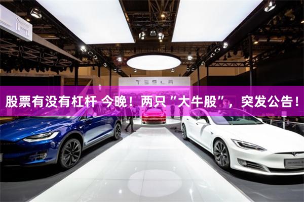 股票有没有杠杆 今晚！两只“大牛股”，突发公告！