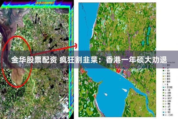 金华股票配资 疯狂割韭菜：香港一年硕大劝退