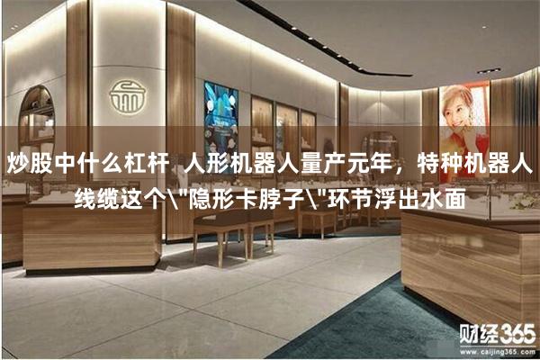 炒股中什么杠杆 人形机器人量产元年,特种机器人线缆这个