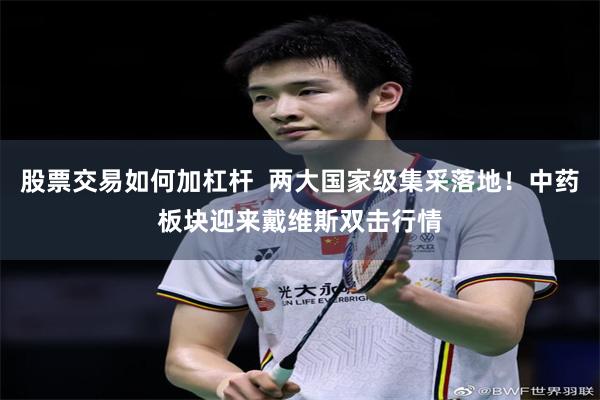 股票交易如何加杠杆  两大国家级集采落地！中药板块迎来戴维斯双击行情