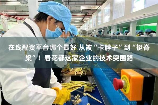 在线配资平台哪个最好 从被“卡脖子”到“挺脊梁”!看花都这家企业的技术突围路