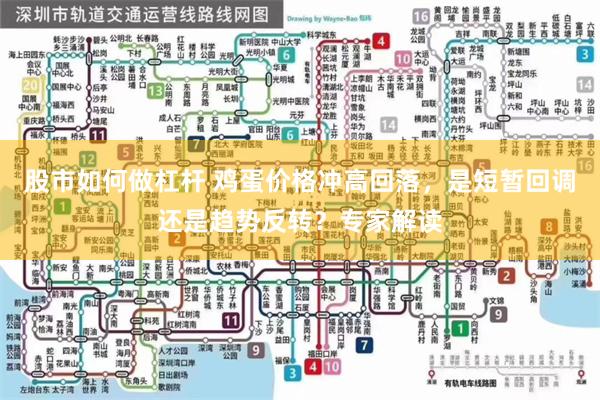 股市如何做杠杆 鸡蛋价格冲高回落，是短暂回调还是趋势反转？专家解读