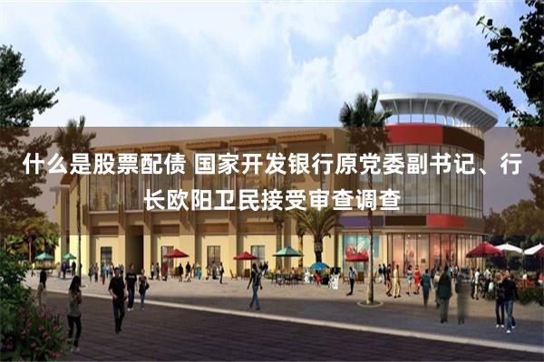 什么是股票配债 国家开发银行原党委副书记、行长欧阳卫民接受审查调查