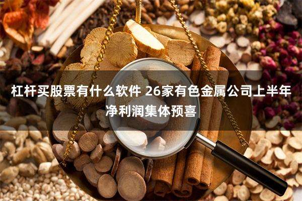 杠杆买股票有什么软件 26家有色金属公司上半年净利润集体预喜