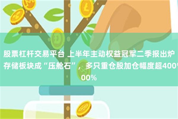 股票杠杆交易平台 上半年主动权益冠军二季报出炉:存储板块成“压舱石”,多只重仓股加仓幅度超400%