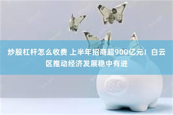 炒股杠杆怎么收费 上半年招商超900亿元！白云区推动经济发展稳中有进