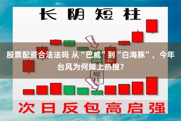 股票配资合法法吗 从“巴威”到“白海豚”，今年台风为何频上热搜？